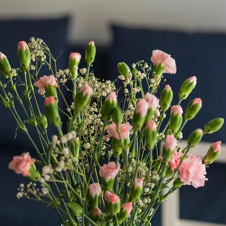 Chmielewskiego Lovely By Bookinghost Апартаменты