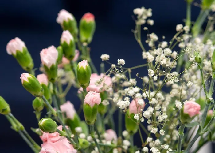 アパート Chmielewskiego Lovely By Bookinghost