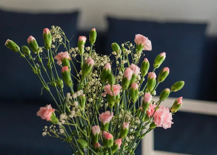 Chmielewskiego Lovely By Bookinghost アパート